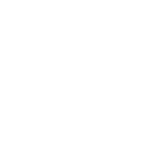 BlackHat