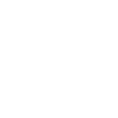 Human X